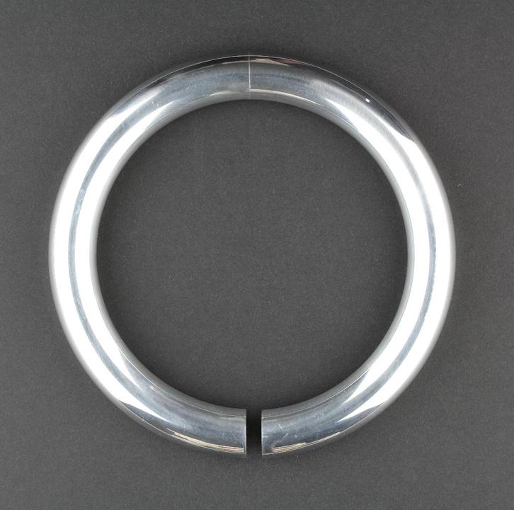 De Halsbuis van  Frans van Nieuwenborg en Martijn Wegman, Antiek en Kunst, Kunst | Designobjecten, Verzenden