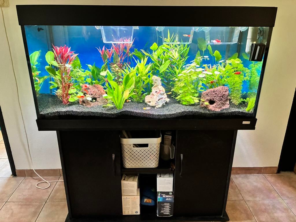 Juwel, goed draaiende bak, compleet aquarium groot, Ophalen, Zo goed als nieuw, Gevuld zoetwateraquarium