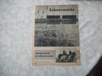 Scheerwolde. Dorp verrijst uit wildernis. 1959., Ophalen of Verzenden, 1940 tot 1960, Nederland, Knipsel(s)