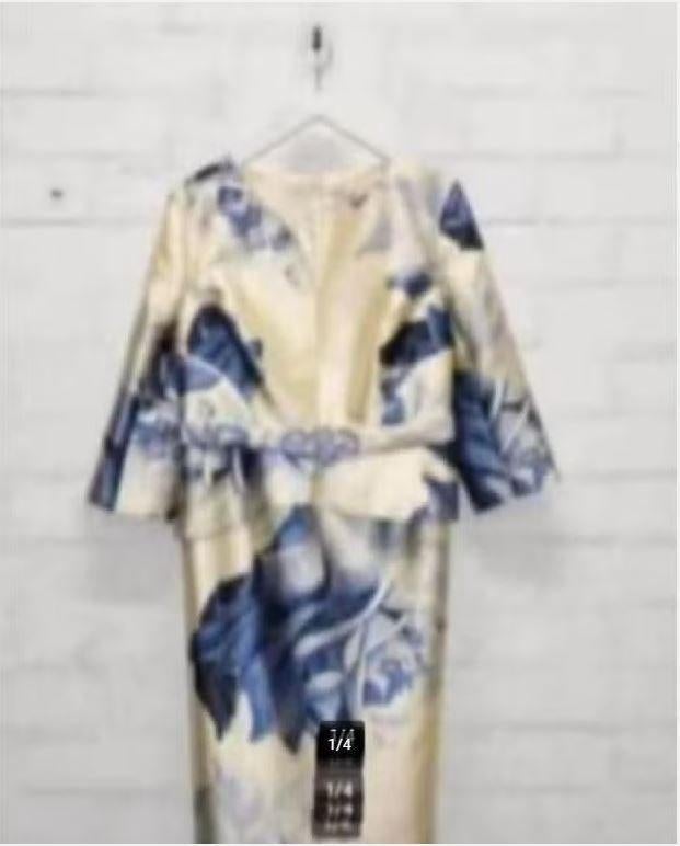 Sonia Pena - Prachtige Jurk met mouw maat 50 - Nieuw €450, Kleding | Dames, Jurken, Nieuw, Maat 46/48 (XL) of groter, Blauw, Boven de knie