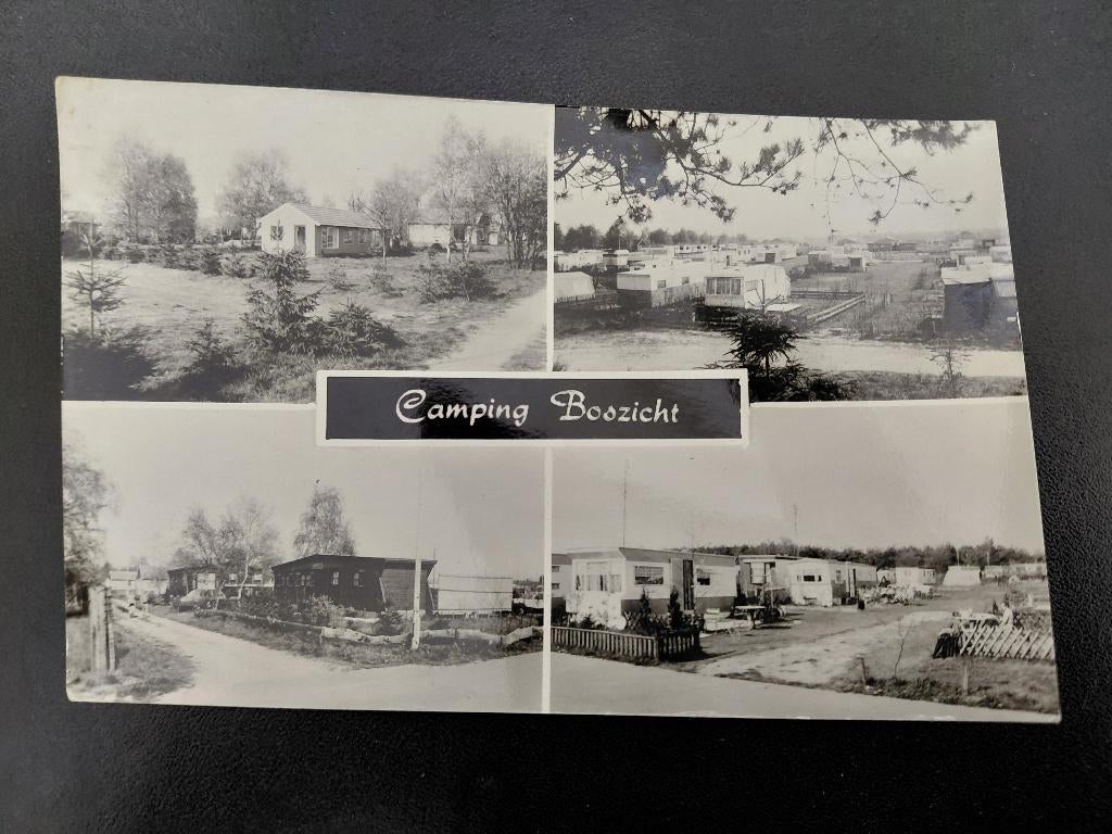 Camping Boszicht, Alverna, echte fotokaart, gelopen., Verzenden, 1960 tot 1980, Gelopen, Gelderland