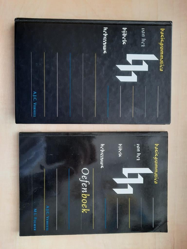 A.J.C. Verheij - Basisgrammatica van het Bijbels Hebreeuws, Ophalen of Verzenden, Zo goed als nieuw, A.J.C. Verheij