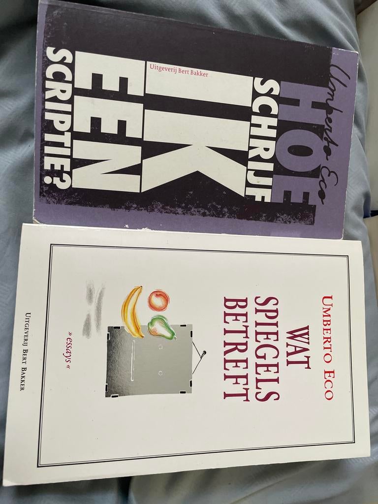 Umberto Eco - Hoe schrijf ik een scriptie? & Wat spiegels be, Boeken, Studieboeken en Cursussen, Ophalen of Verzenden, Alpha, Gelezen