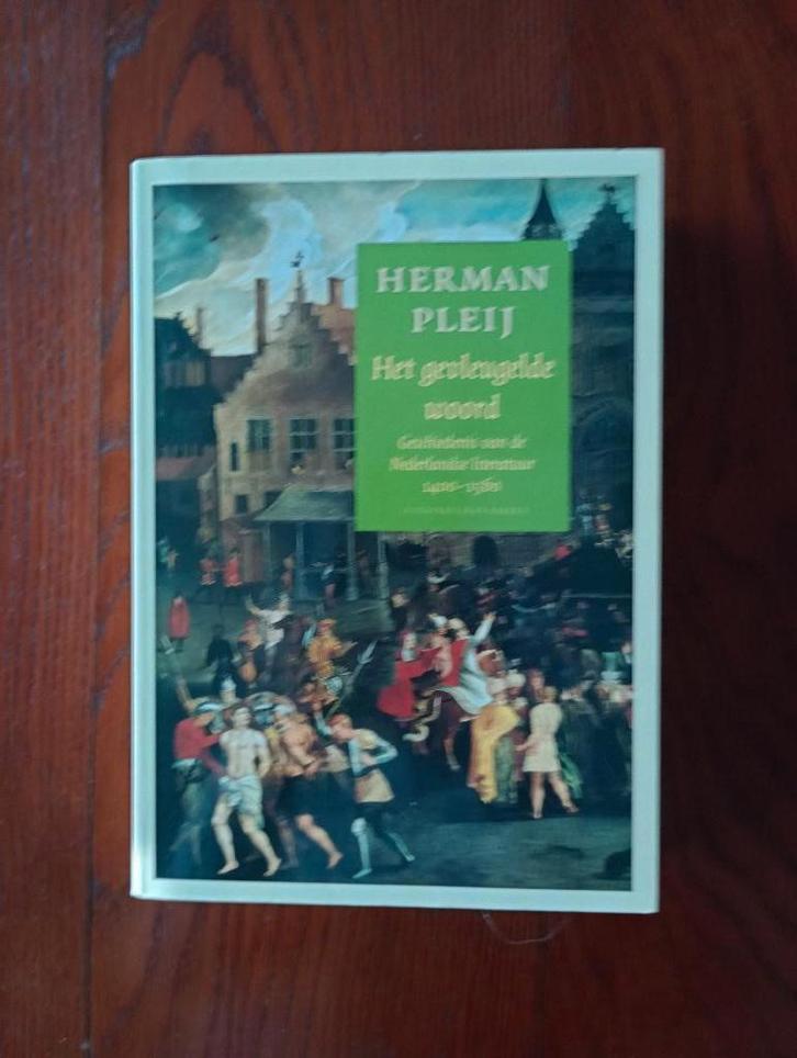 H. Pleij Geschiedenis vd Nederlandse literatuur 1400-1560, Boeken, Studieboeken en Cursussen, Zo goed als nieuw, HBO, Alpha, Ophalen of Verzenden