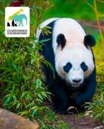 Tickets Ouwehands Dierenpark + gratis parkeren 30-06-2026, Tickets en Kaartjes, Drie personen of meer, Ticket of Toegangskaart