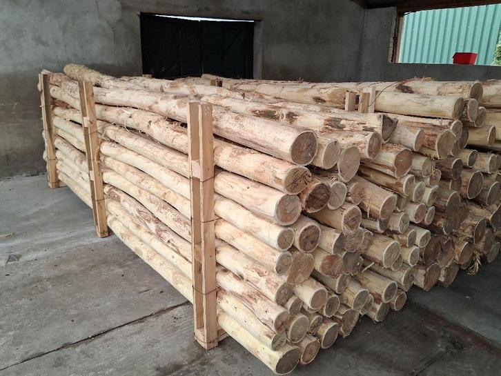 Robiniahouten palen, robinia paal 400cm lang 12-14cm dik, Tuin en Terras, Palen, Balken en Planken, Nieuw, Palen, 250 cm of meer