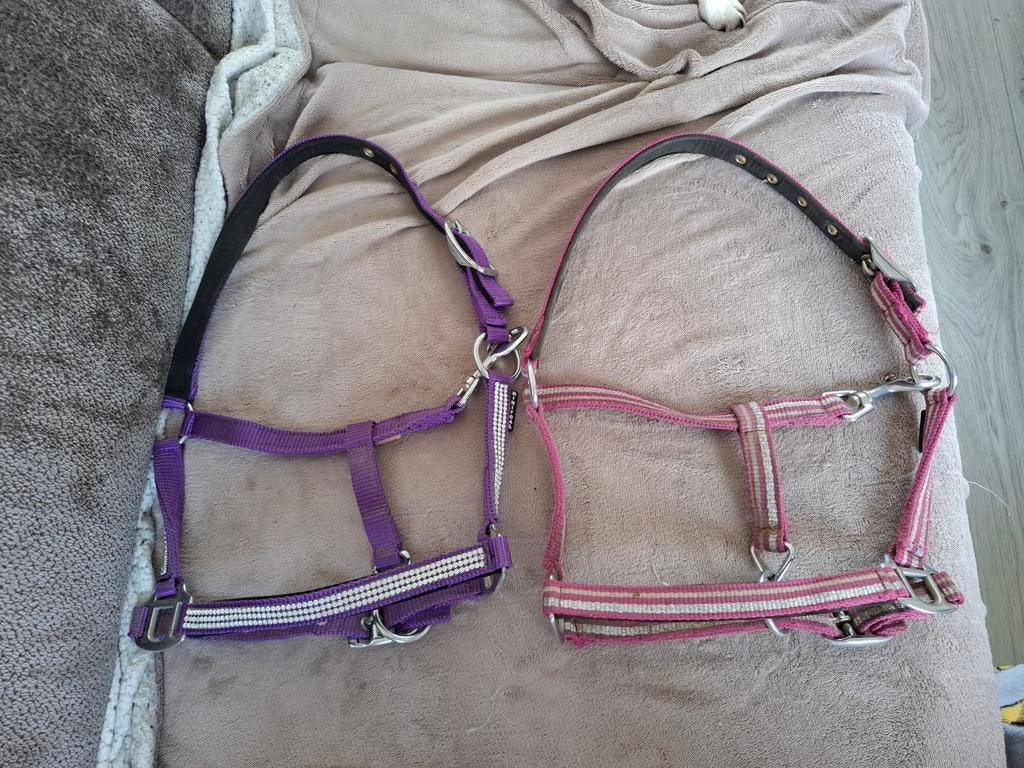 Veulen halsters, Ophalen, Overige soorten