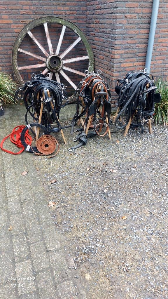 Men tuig COB, Tuin en Terras, Tuinbeelden, Ophalen of Verzenden, Nieuw