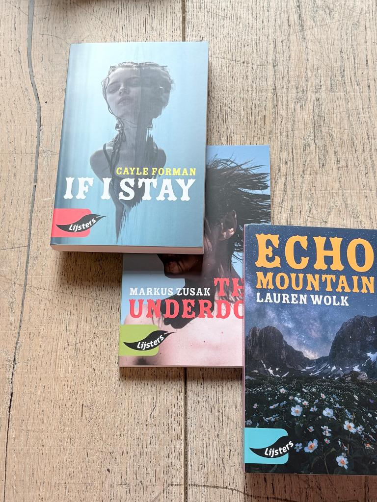 Schoolboeken VWO: Engels en Nederlands, VWO, Diverse auteurs, Ophalen of Verzenden, Zo goed als nieuw