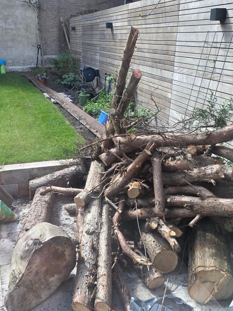 Haardhout, gratis op te halen, Tuin en Terras, Haardhout, Minder dan 3 m³, Ophalen