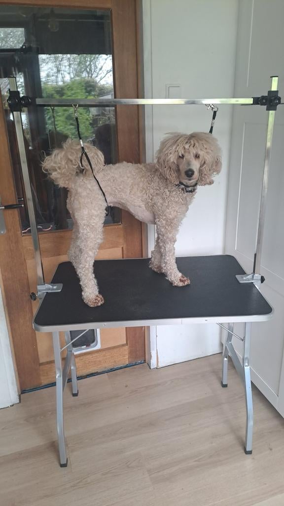 Trimtafel met verstelbare arm, nauwelijks gebruikt, Ophalen, Zo goed als nieuw