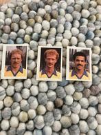 DS 79 panini vanderhout 1981-1982, Ophalen of Verzenden, Gebruikt, Buitenlandse clubs, Poster, Plaatje of Sticker