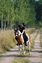 Leuke bonte pony te koop en bonte shetlander, Dieren en Toebehoren, Pony's, Merrie, Zadelmak, C pony (1.27m tot 1.37m), Recreatiepony