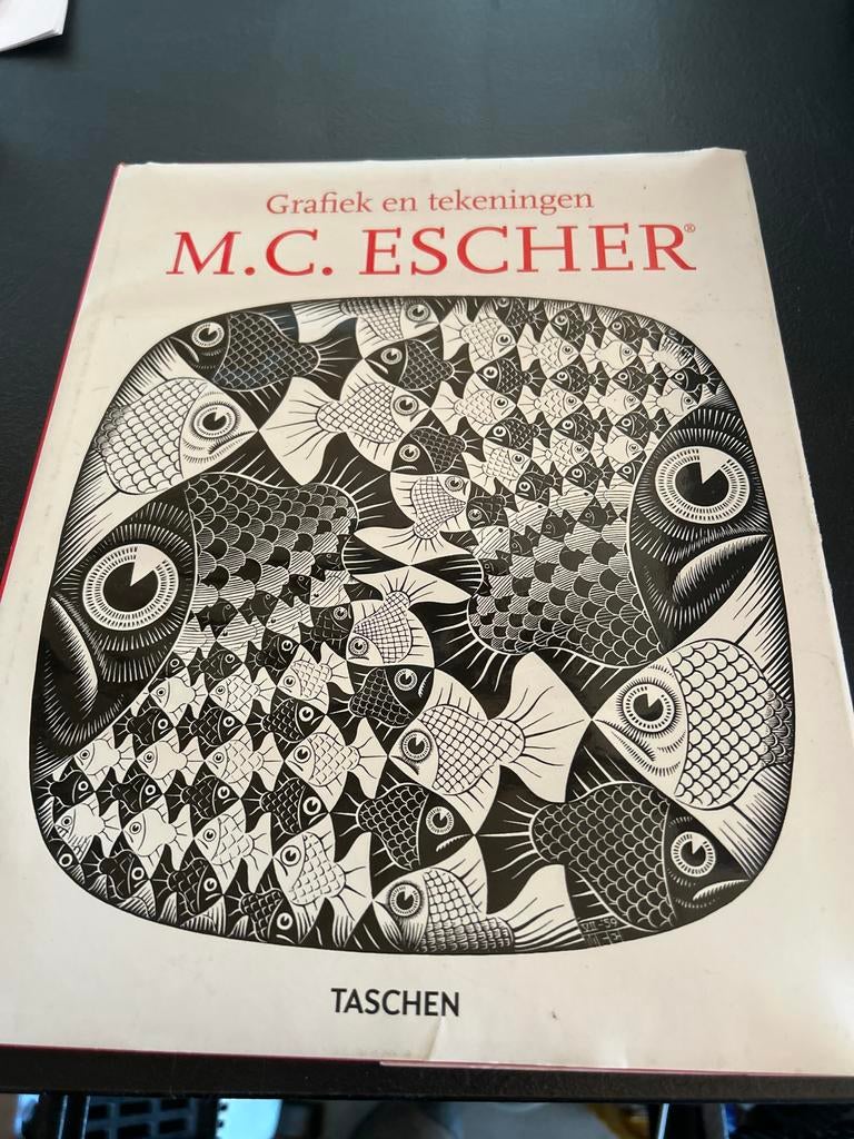 Grafiek en tekeningen M.C. Escher, Ophalen of Verzenden, Gelezen, Overige onderwerpen