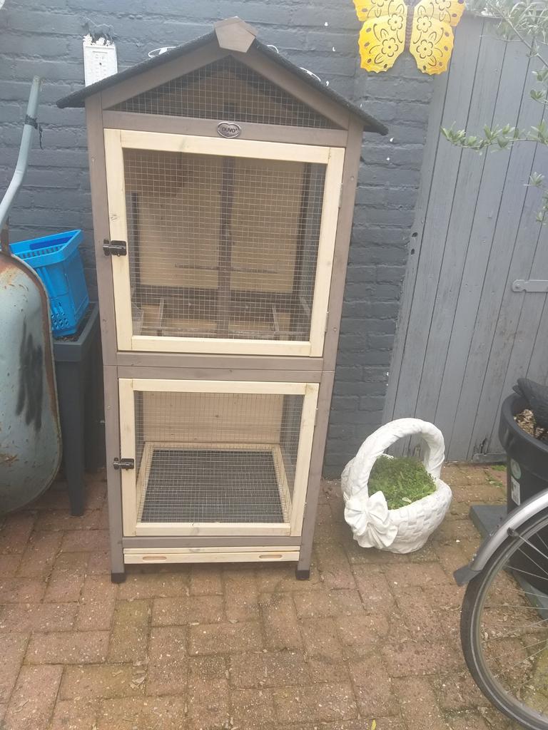 Te koop 1.33 cm hoog  breed  60 cm, Dieren en Toebehoren, Papegaai