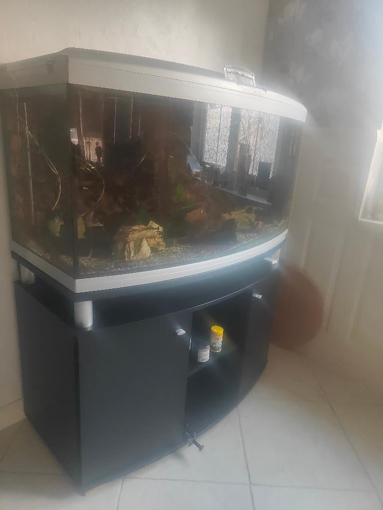 Aquarium, Ophalen, Zo goed als nieuw, Overige typen, Overige merken