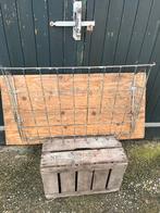 TE KOOP HOOIRUIF, Dieren en Toebehoren, Meerdere dieren, Schaap