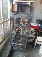 Vogelkooi 156 hoog, Ophalen, Zo goed als nieuw, Metaal, Vogelkooi