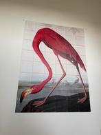 IXXI schilderij flamingo 120x160cm, Ophalen