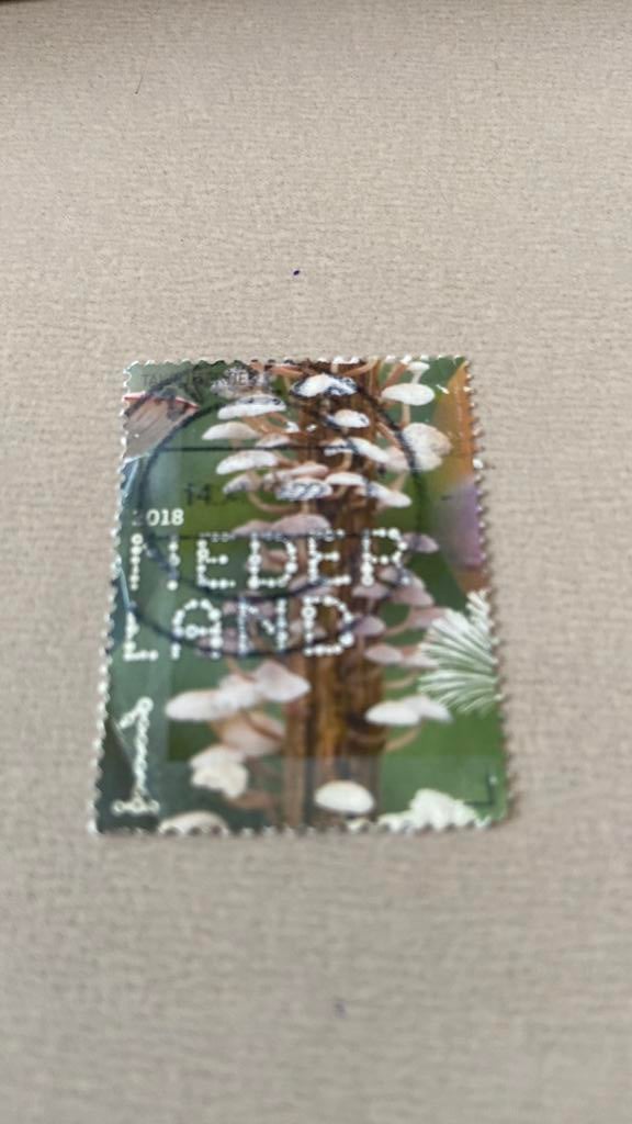 Nederland, Postzegels en Munten, Postzegels | Nederland, Ophalen of Verzenden, Gestempeld