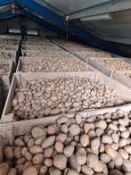 Gratis aardappelen voer aardappelen, Dieren en Toebehoren, Dierenvoeding, Ophalen