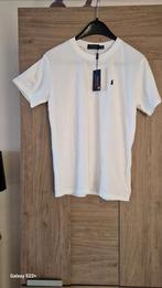 Nieuw Ralph Lauren T-shirt maat M, Maat 48/50 (M), Wit, Ralph Lauren, Nieuw