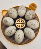 Broedeieren van Indische Loopeenden, Dieren en Toebehoren, Pluimvee, Geslacht onbekend, Eend