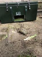 Kunststof pakketbak , brievenbus , legerkist van polyester, Tuin en Terras, Ophalen, Gebruikt, Kunststof