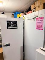 Vriescel (motor defect nooi na laten kijken wat probleem was, Witgoed en Apparatuur, Ophalen, 200 liter of meer, Met aparte vriezer