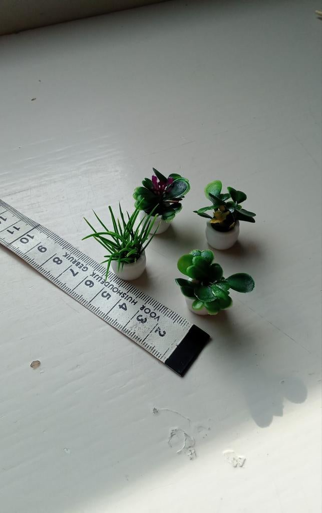 4 plantjes, Verzamelen, Ophalen of Verzenden, Nieuw, Poppenhuis