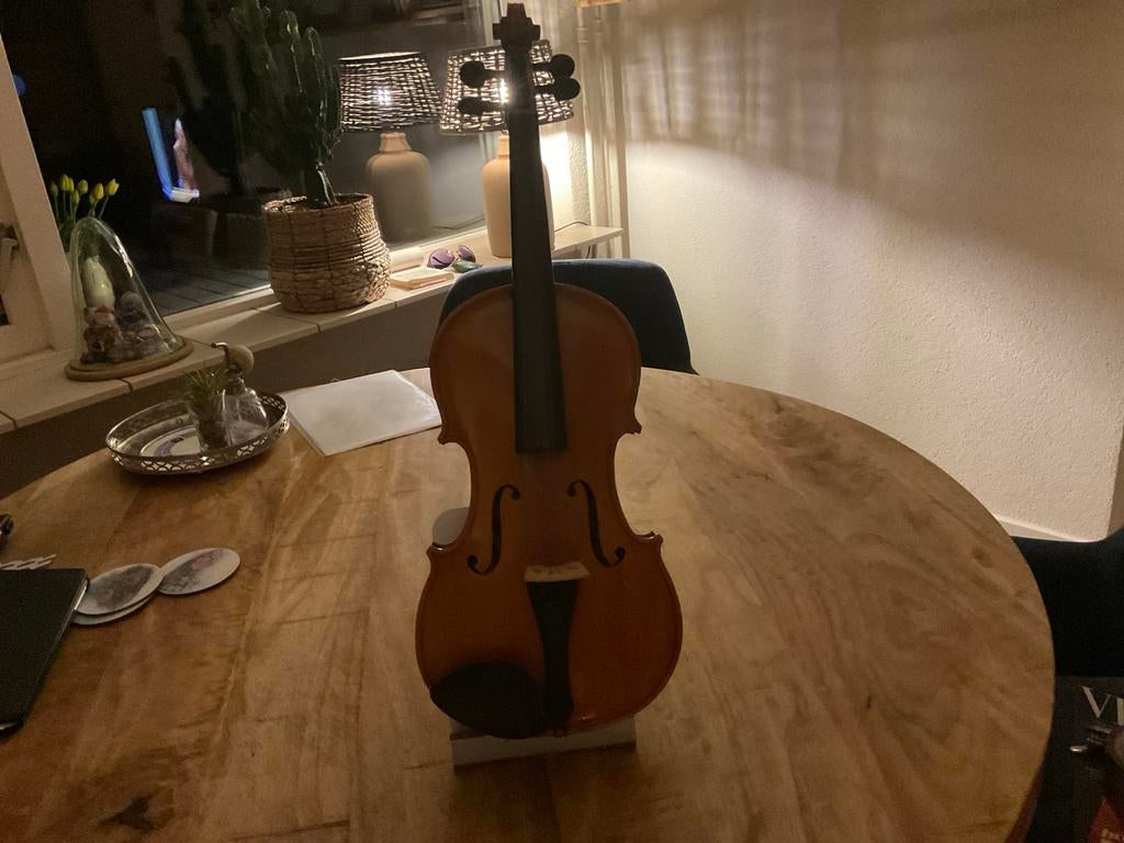 Mooie Viool - Perfect voor beginners of gevorderden, Ophalen of Verzenden, Gebruikt, 4/4-viool, Viool