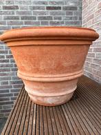 Grote Hele Exclusieve Impruneta Montechhio terracottapot, Ophalen, 40 cm of meer, Rond, Zo goed als nieuw