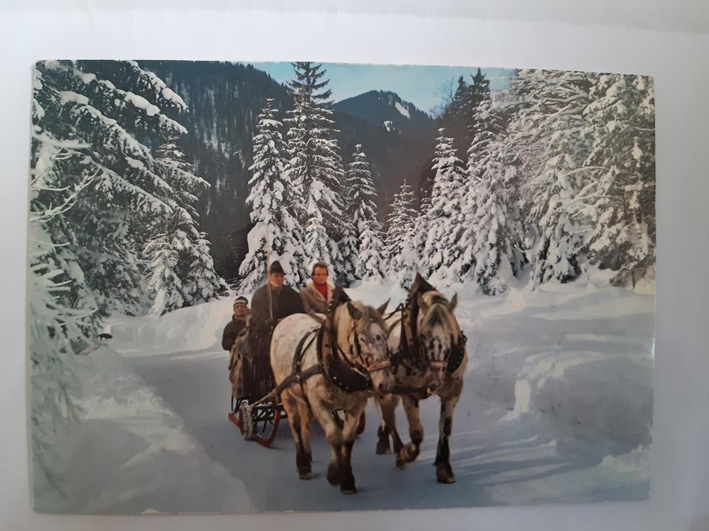 Oude ansichtkaart met paardenslee in winterlandschap, Ophalen of Verzenden