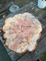 Boomschijf te koop, Ophalen, Nieuw