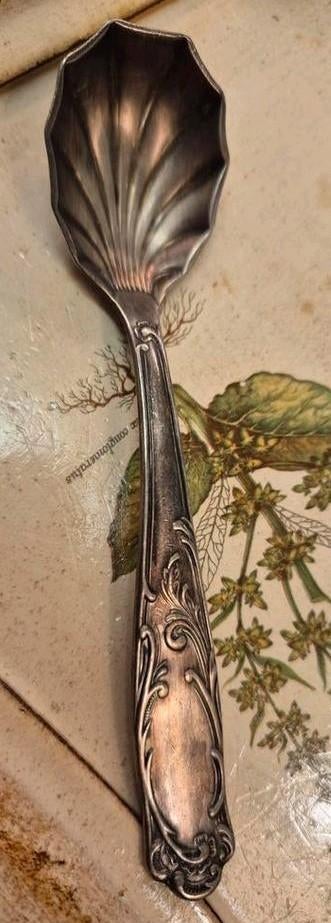 Antieke zilverkleurige schelpvormige suiker lepel, Ophalen of Verzenden