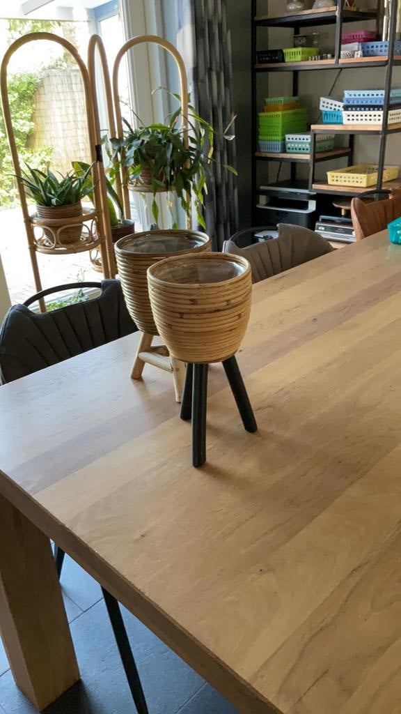 Twee leuke rotan bloemen potten, Huis en Inrichting, Ophalen of Verzenden, Zo goed als nieuw