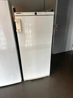 Liebherr  gebruikte vrieskast 150 cm breedte 70 cm, Gebruikt, Info@buram.nl, Liebherr, Ophalen
