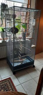 Vogelkooi, Dieren en Toebehoren, Vogels | Hokken en Kooien, Ophalen, Gebruikt, Metaal, Vogelkooi