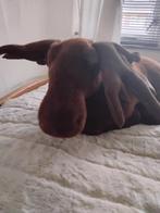 Grote rendier knuffel, Ophalen