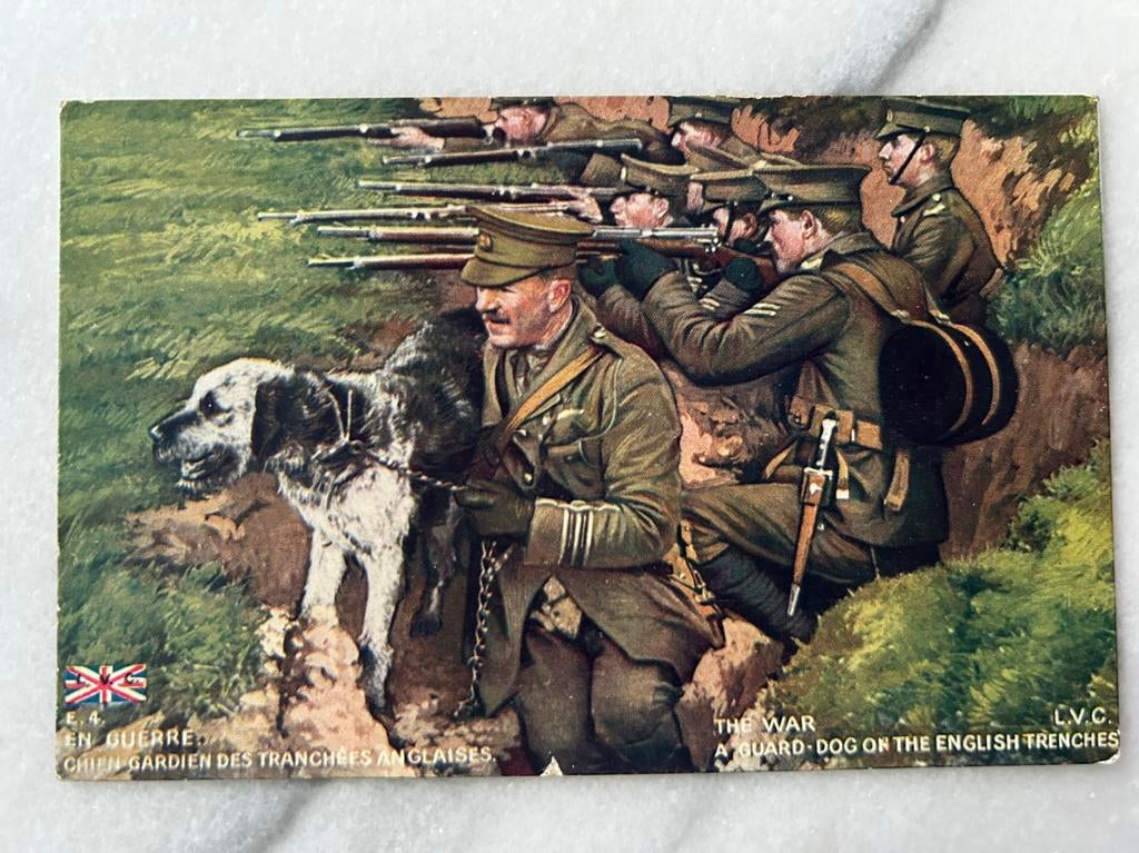 Wo1: ak English wardog in the trenches hond loopgraaf, Verzamelen, Ophalen of Verzenden, Landmacht, Nederland, Foto of Poster