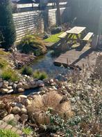 Vijver + alle toebehoren, Ophalen, Zo goed als nieuw