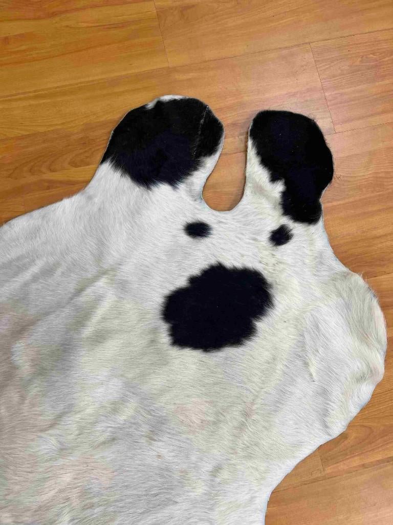 Koeienkleed koeienhuid zwart wit 160/93, Gebruikt, Wit, Etten-Leur, DJT@dejuistetoon.eu
