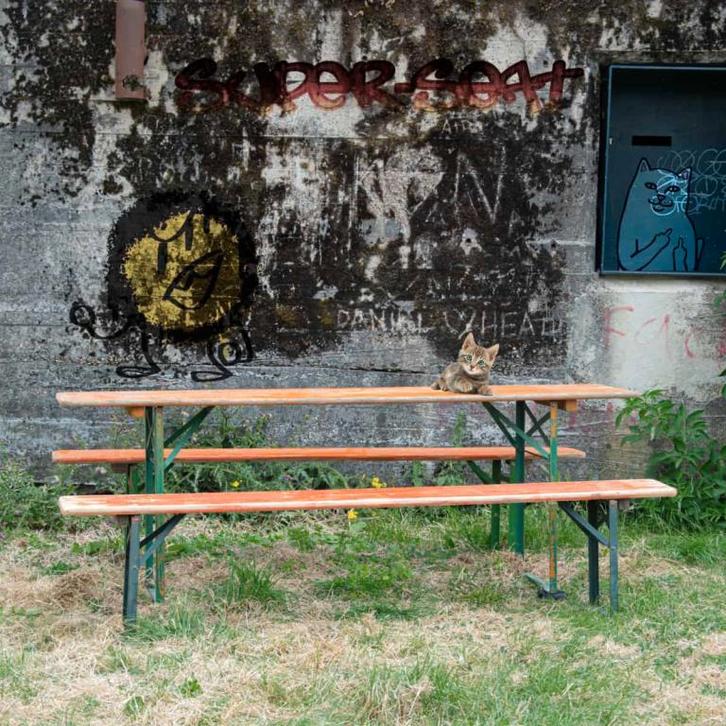 100 Vintage Bier tafels Picknick klaptafels bierset  121, Tuin en Terras, Tuinsets en Loungesets, Nieuw, Teakhout, Ophalen of Verzenden