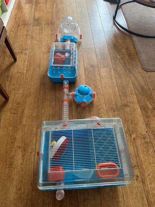 Hamsterkooi met veel extras, Dieren en Toebehoren, Knaagdieren en Konijnen | Hokken en Kooien, Zo goed als nieuw, Kooi, Minder dan 60 cm