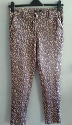Chastar broek, Kleding | Dames, Broeken en Pantalons, Ophalen of Verzenden, Zo goed als nieuw, Maat 38/40 (M), Lang