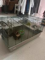 Hamster/caviakooi, Dieren en Toebehoren, Ophalen, Zo goed als nieuw