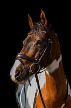 Te koop knappe D pony / 1,48 m, Dieren en Toebehoren, Pony's, Merrie, Zadelmak, Ontwormd, 11 jaar of ouder