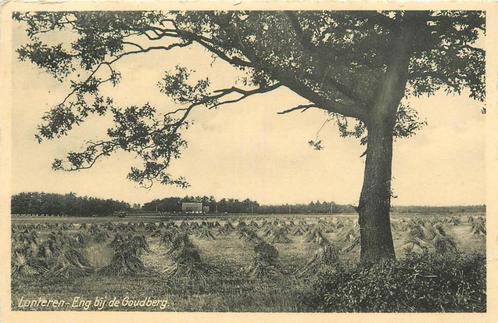 (701-048-019) Lunteren Eng bij de Goudberg, Verzamelen, Ansichtkaarten | Nederland, Gelderland, Verzenden