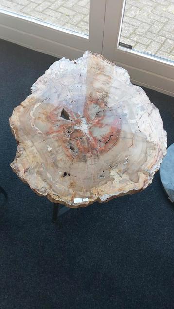 Versteend hout tafel ca. 90x74 cm. beschikbaar voor biedingen