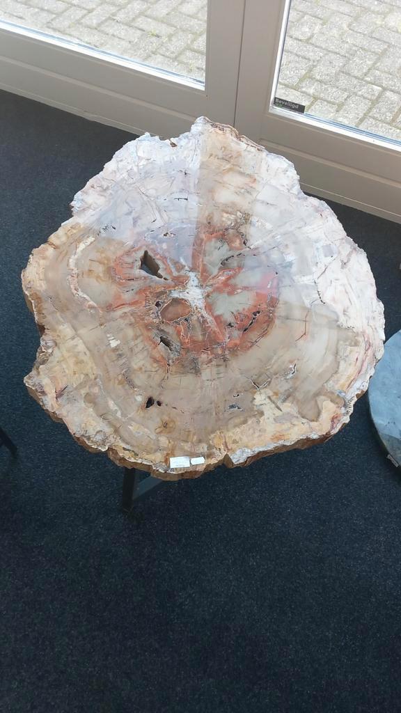 Versteend hout tafel ca. 90x74 cm., Verzamelen, Mineralen en Fossielen, Ophalen of Verzenden